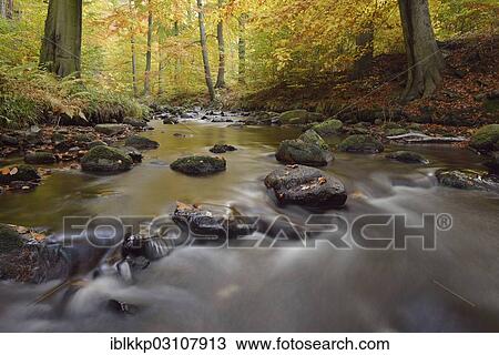 Stock Image - "Ilse River in autumn, Ilsenburg, Harz, Saxony-Anhalt, Germany, Europe". Fotosearch