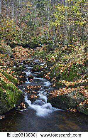 "Ilse River in autumn, Ilsenburg, Harz, Saxony-Anhalt, Germany, Europe" View Large Photo Image Stock Image - "Ilse River in autumn, Ilsenburg, Harz, Saxony-Anhalt, Germany, Europe". Fotosearch