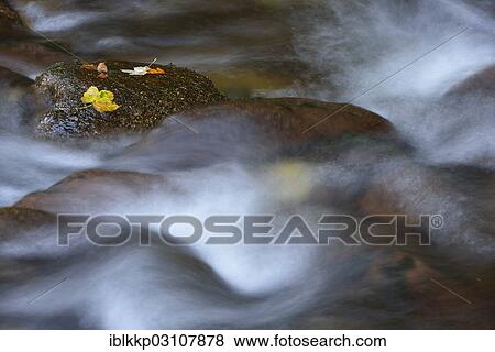 Stock Photo - "Ilse River in autumn, Ilsenburg, Harz, Saxony-Anhalt, Germany, Europe". Fotosearch