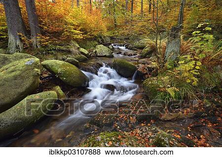 "Ilse River in autumn, Ilsenburg, Harz, Saxony-Anhalt, Germany, Europe" View Large Photo Image Stock Photo - "Ilse River in autumn, Ilsenburg, Harz, Saxony-Anhalt, Germany, Europe". Fotosearch