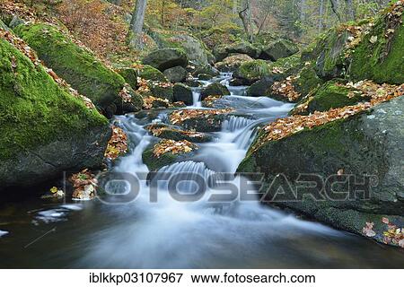 "Ilse River in autumn, Ilsenburg, Harz, Saxony-Anhalt, Germany, Europe" View Large Photo Image Stock Photo - "Ilse River in autumn, Ilsenburg, Harz, Saxony-Anhalt, Germany, Europe". Fotosearch