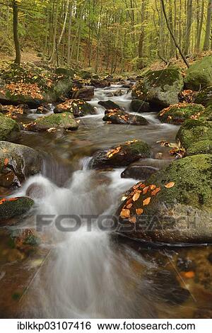 "Ilse River in autumn, Ilsenburg, Harz, Saxony-Anhalt, Germany, Europe" View Large Photo Image Stock Photograph - "Ilse River in autumn, Ilsenburg, Harz, Saxony-Anhalt, Germany, Europe". Fotosearch
