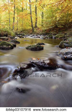 "Ilse River in autumn, Ilsenburg, Harz, Saxony-Anhalt, Germany, Europe" View Large Photo Image Stock Photograph - "Ilse River in autumn, Ilsenburg, Harz, Saxony-Anhalt, Germany, Europe". Fotosearch