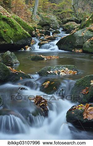 "Ilse River in autumn, Ilsenburg, Harz, Saxony-Anhalt, Germany, Europe" View Large Photo Image Stock Photograph - "Ilse River in autumn, Ilsenburg, Harz, Saxony-Anhalt, Germany, Europe". Fotosearch
