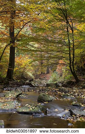 Stock Photo - "Ilse River in Ilsetal valley in autumn, Nationalpark Hochharz, Ilsenburg, Saxony-Anhalt, Germany, Europe". Fotosearch