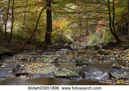 "Ilse River in Ilsetal valley in autumn, Nationalpark Hochharz, Ilsenburg, Saxony-Anhalt, Germany, Europe" View Large Photo Image Stock Photograph - "Ilse River in Ilsetal valley in autumn, Nationalpark Hochharz, Ilsenburg, Saxony-Anhalt, Germany, Europe". Fotosearch