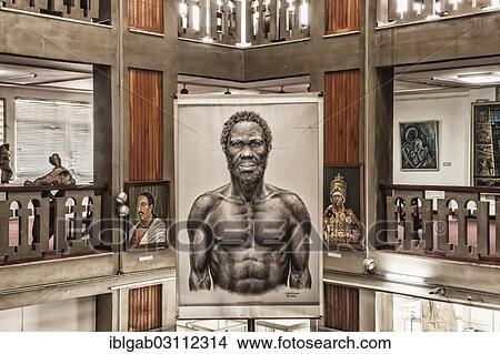 "Image of Homo sapiens idaltu, National Museum of Ethiopia, Addis Ababa, Oromia Region, Ethiopia, Africa" View Large Photo Image Picture - "Image of Homo sapiens idaltu, National Museum of Ethiopia, Addis Ababa, Oromia Region, Ethiopia, Africa". Fotosearch
