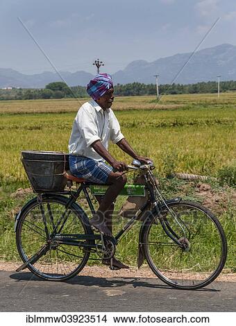 "Indian man riding a bicycle, Uttamapalaiyam, Tamil Nadu, India, Asia" View Large Photo Image Picture - "Indian man riding a bicycle, Uttamapalaiyam, Tamil Nadu, India, Asia". Fotosearch