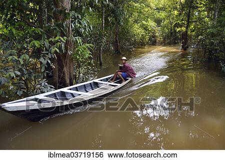 Stock Photograph - "Indian man travelling by boat through the Varzea Forests, floodplain forest, Mamiraua-Nationalpark, Manaus, Amazonas State, Brazil, South America". Fotosearch