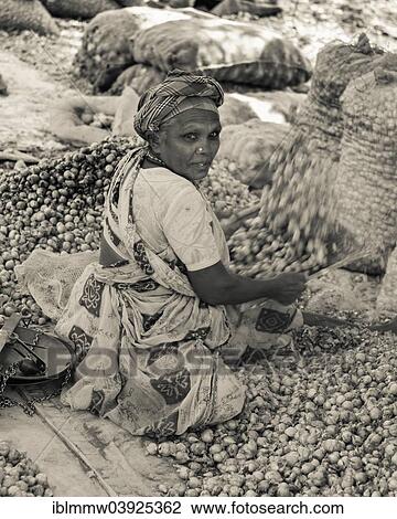 Stock Image - "Indian woman sifting onions, Indian market, Chinnamanur, Tamil Nadu, India, Asia". Fotosearch