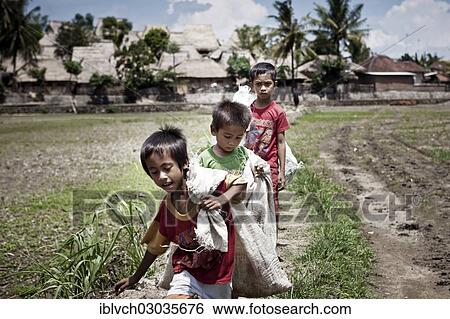 "Indonesian children carrying sacks, Terara, Lombok, Nusa Tenggara Barat Province, Indonesia, Asia" View Large Photo Image Stock Photograph - "Indonesian children carrying sacks, Terara, Lombok, Nusa Tenggara Barat Province, Indonesia, Asia". Fotosearch