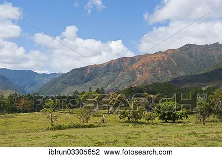 "Inland mountain range on the east coast of Grande Terre, Grande Terre, New Caledonia, France, Oceania" View Large Photo Image Stock Image - "Inland mountain range on the east coast of Grande Terre, Grande Terre, New Caledonia, France, Oceania". Fotosearch
