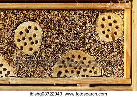 "Insect hotel, Egestorf, Lower Saxony, Germany, Europe" View Large Photo Image Stock Image - "Insect hotel, Egestorf, Lower Saxony, Germany, Europe". Fotosearch