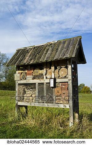 "Insect hotel, Popelau, Amt Neuhaus, Lower Saxony, Germany, Europe" View Large Photo Image Stock Photography - "Insect hotel, Popelau, Amt Neuhaus, Lower Saxony, Germany, Europe". Fotosearch