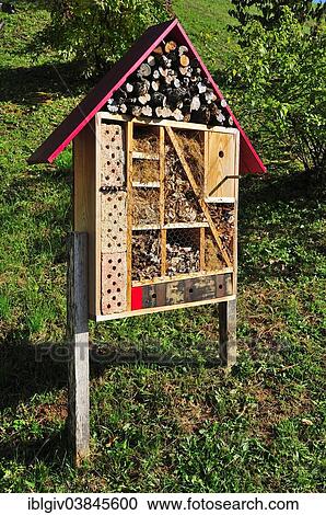 "Insect hotel, Styria, Austria, Europe" View Large Photo Image Stock Image - "Insect hotel, Styria, Austria, Europe". Fotosearch