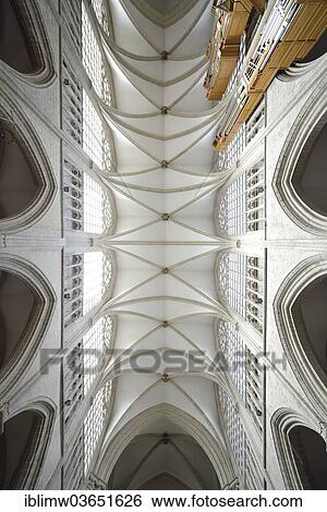 "Interior, ceiling of the Cathedrale St Michel et Gudule, Cathedral of St. Michael and St. Gudula, Brussels, Brussels Region, Belgium, Europe" View Large Photo Image Stock Photograph - "Interior, ceiling of the Cathedrale St Michel et Gudule, Cathedral of St. Michael and St. Gudula, Brussels, Brussels Region, Belgium, Europe". Fotosearch