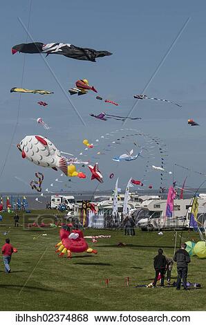 "International Kite Festival in Norddeich, East Frisia, Lower Saxony, Germany, Europe" View Large Photo Image Stock Photo - "International Kite Festival in Norddeich, East Frisia, Lower Saxony, Germany, Europe". Fotosearch