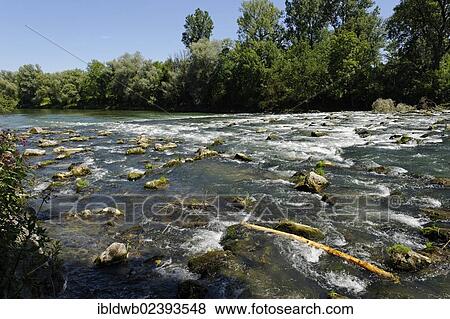 "Isar river between Ismaning and Freising, Upper Bavaria, Bavaria, Germany, Europe" View Large Photo Image Stock Photo - "Isar river between Ismaning and Freising, Upper Bavaria, Bavaria, Germany, Europe". Fotosearch