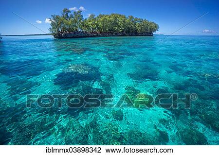 "Island, Palau, Micronesia, Oceania" View Large Photo Image Stock Image - "Island, Palau, Micronesia, Oceania". Fotosearch
