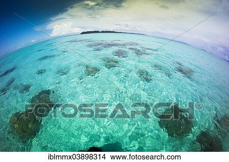 "Islands, fisheye, Palau, Micronesia, Oceania" View Large Photo Image Picture - "Islands, fisheye, Palau, Micronesia, Oceania". Fotosearch