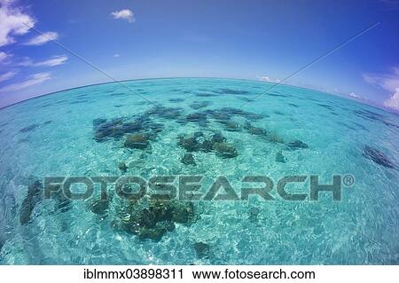 "Islands, fisheye, Palau, Micronesia, Oceania" View Large Photo Image Stock Image - "Islands, fisheye, Palau, Micronesia, Oceania". Fotosearch