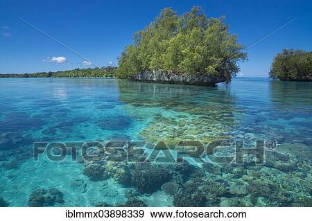 "Islands, Palau, Micronesia, Oceania" View Large Photo Image Stock Photo - "Islands, Palau, Micronesia, Oceania". Fotosearch