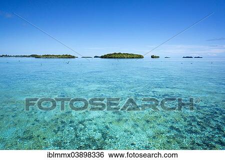 "Islands, Palau, Micronesia, Oceania" View Large Photo Image Stock Photograph - "Islands, Palau, Micronesia, Oceania". Fotosearch