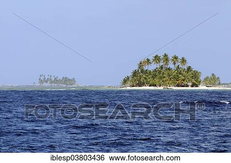 "Islands with palm trees, Lemon Cays, San Blas Islands, Caribbean, Panama, North America" View Large Photo Image Stock Photograph - "Islands with palm trees, Lemon Cays, San Blas Islands, Caribbean, Panama, North America". Fotosearch