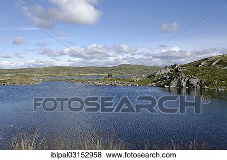 Stock Photo - "Isolated lake, Hardangervidda Hochebene, Buskerud, Ostlandet, Norway, Europe". Fotosearch