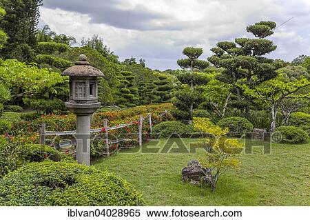"Japanese Garden at the Jardin Botanico National Dr. Rafael Maria Moscoso, National Botanical garden, Santo Domingo, Hispaniola Island, Greater Antilles" View Large Photo Image Stock Photography - "Japanese Garden at the Jardin Botanico National Dr. Rafael Maria Moscoso, National Botanical garden, Santo Domingo, Hispaniola Island, Greater Antilles". Fotosearch