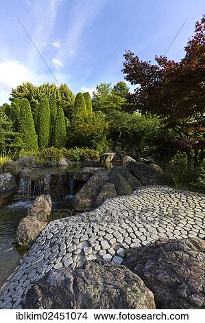 "Japanese garden, Rheinaue Leisure Park, Bonn, North Rhine-Westphalia, Germany, Europe" View Large Photo Image Picture - "Japanese garden, Rheinaue Leisure Park, Bonn, North Rhine-Westphalia, Germany, Europe". Fotosearch