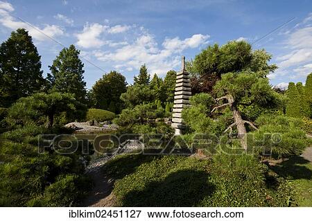 "Japanese garden, Rheinaue Leisure Park, Bonn, North Rhine-Westphalia, Germany, Europe" View Large Photo Image Stock Photo - "Japanese garden, Rheinaue Leisure Park, Bonn, North Rhine-Westphalia, Germany, Europe". Fotosearch