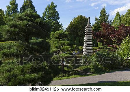 "Japanese garden, Rheinaue Leisure Park, Bonn, North Rhine-Westphalia, Germany, Europe" View Large Photo Image Stock Photography - "Japanese garden, Rheinaue Leisure Park, Bonn, North Rhine-Westphalia, Germany, Europe". Fotosearch
