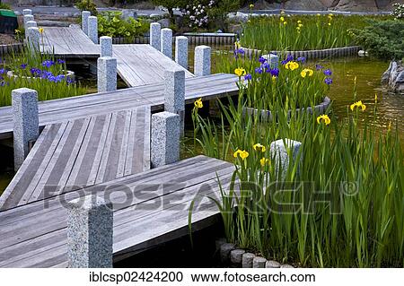 Japanese gardens in Larvotto, Principality of Monaco, Europe View Large Photo Image Stock Image - Japanese gardens in Larvotto, Principality of Monaco, Europe. Fotosearch