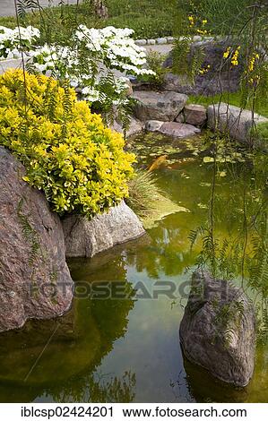 Japanese gardens in Larvotto, Principality of Monaco, Europe View Large Photo Image Stock Image - Japanese gardens in Larvotto, Principality of Monaco, Europe. Fotosearch