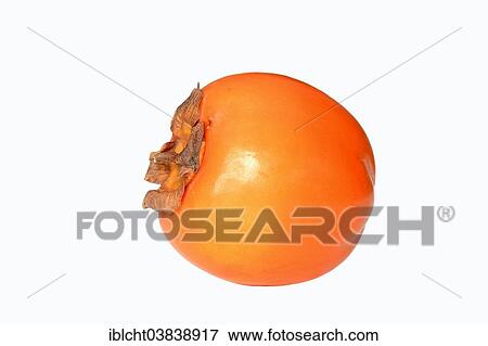 Stock Photo - "Japanese Persimmon, Kaki Persimmon or Sharon Fruit (Diospyros kaki)". Fotosearch