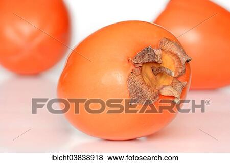 "Japanese Persimmon, Kaki Persimmon or Sharon Fruit (Diospyros kaki)" View Large Photo Image Stock Photo - "Japanese Persimmon, Kaki Persimmon or Sharon Fruit (Diospyros kaki)". Fotosearch
