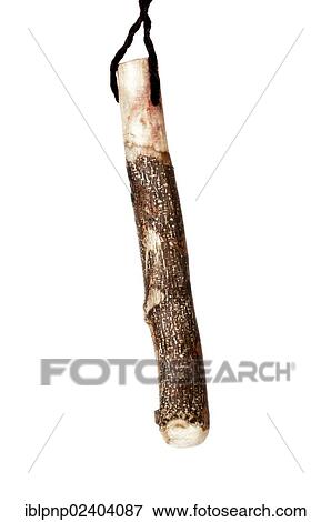 Japanese wood pestle View Large Photo Image Stock Photo - Japanese wood pestle. Fotosearch