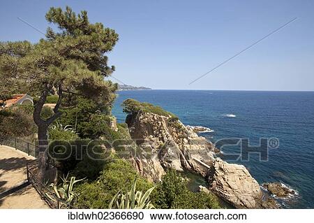 "Jardi Botanic Marimurtra, botanical gardens, with views of the Mediterranean, Blanes, La Selva, Costa Brava, Catalonia, Spain, Europe" View Large Photo Image Stock Image - "Jardi Botanic Marimurtra, botanical gardens, with views of the Mediterranean, Blanes, La Selva, Costa Brava, Catalonia, Spain, Europe". Fotosearch
