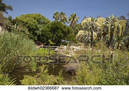 "Jardi Botanic Marimurtra, botanical gardens, Blanes, La Selva, Costa Brava, Catalonia, Spain, Europe" View Large Photo Image Stock Photo - "Jardi Botanic Marimurtra, botanical gardens, Blanes, La Selva, Costa Brava, Catalonia, Spain, Europe". Fotosearch
