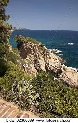 "Jardi Botanic Marimurtra, botanical gardens, with views of the Mediterranean, Blanes, La Selva, Costa Brava, Catalonia, Spain, Europe" View Large Photo Image Stock Photo - "Jardi Botanic Marimurtra, botanical gardens, with views of the Mediterranean, Blanes, La Selva, Costa Brava, Catalonia, Spain, Europe". Fotosearch
