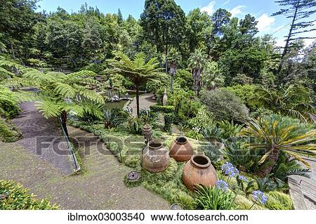 "Jardim Botanico da Madeira or Botanical Garden, on the grounds of the farm of the Reid hotelier family, Jose Bernardo foundation, Terreiro da Luta, Funchal, Madeira, Portugal, Europe" View Large Photo Image Stock Image - "Jardim Botanico da Madeira or Botanical Garden, on the grounds of the farm of the Reid hotelier family, Jose Bernardo foundation, Terreiro da Luta, Funchal, Madeira, Portugal, Europe". Fotosearch