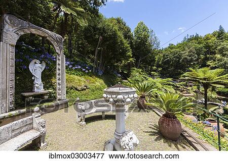 Stock Photo - "Jardim Botanico da Madeira or Botanical Garden, on the grounds of the farm of the Reid hotelier family, Jose Bernardo foundation, Terreiro da Luta, Funchal, Madeira, Portugal, Europe". Fotosearch
