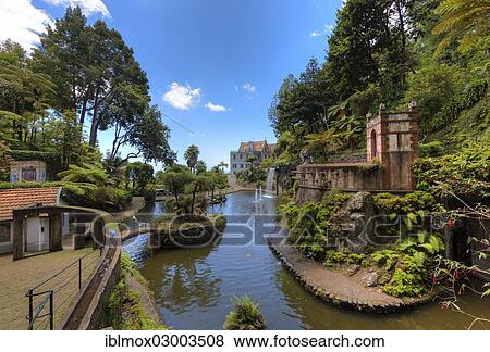 "Jardim Botanico da Madeira or Botanical Garden, on the grounds of the farm of the Reid hotelier family, Jose Bernardo foundation, Terreiro da Luta, Funchal, Madeira, Portugal, Europe" View Large Photo Image Stock Photo - "Jardim Botanico da Madeira or Botanical Garden, on the grounds of the farm of the Reid hotelier family, Jose Bernardo foundation, Terreiro da Luta, Funchal, Madeira, Portugal, Europe". Fotosearch