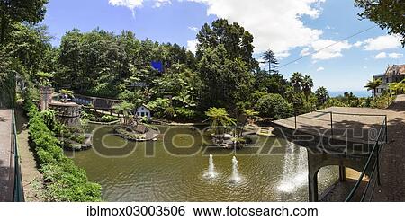 "Jardim Botanico da Madeira or Botanical Garden, on the grounds of the farm of the Reid hotelier family, Jose Bernardo foundation, Terreiro da Luta, Funchal, Madeira, Portugal, Europe" View Large Photo Image Stock Photograph - "Jardim Botanico da Madeira or Botanical Garden, on the grounds of the farm of the Reid hotelier family, Jose Bernardo foundation, Terreiro da Luta, Funchal, Madeira, Portugal, Europe". Fotosearch