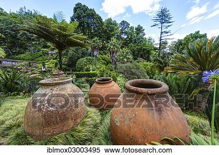 "Jardim Botanico da Madeira or Botanical Garden, on the grounds of the farm of the Reid hotelier family, Jose Bernardo foundation, Terreiro da Luta, Funchal, Madeira, Portugal, Europe" View Large Photo Image Stock Photography - "Jardim Botanico da Madeira or Botanical Garden, on the grounds of the farm of the Reid hotelier family, Jose Bernardo foundation, Terreiro da Luta, Funchal, Madeira, Portugal, Europe". Fotosearch