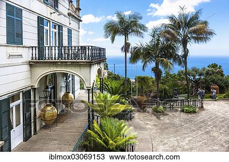 "Jardim Tropical Monte Palace in Jardim Botanico da Madeira, tropical garden on the grounds of the quinta of the hoteliers family Reid, Jose Bernardo Foundation, Terreiro da Luta, Funchal, Madeira, Portugal, Europe" View Large Photo Image Stock Image - "Jardim Tropical Monte Palace in Jardim Botanico da Madeira, tropical garden on the grounds of the quinta of the hoteliers family Reid, Jose Bernardo Foundation, Terreiro da Luta, Funchal, Madeira, Portugal, Europe". Fotosearch