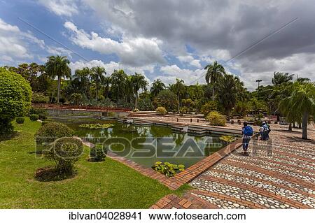 "Jardin Botanico National Dr. Rafael Maria Moscoso, National Botanical garden, Santo Domingo, Hispaniola Island, Greater Antilles" View Large Photo Image Stock Image - "Jardin Botanico National Dr. Rafael Maria Moscoso, National Botanical garden, Santo Domingo, Hispaniola Island, Greater Antilles". Fotosearch
