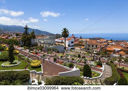 "Jardin del Marquesado de la Quinta Roja gardens, La Orotava, Tenerife, Canary Islands, Spain, Europe" View Large Photo Image Picture - "Jardin del Marquesado de la Quinta Roja gardens, La Orotava, Tenerife, Canary Islands, Spain, Europe". Fotosearch