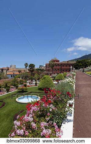 "Jardin del Marquesado de la Quinta Roja gardens, La Orotava, Tenerife, Canary Islands, Spain, Europe" View Large Photo Image Stock Photo - "Jardin del Marquesado de la Quinta Roja gardens, La Orotava, Tenerife, Canary Islands, Spain, Europe". Fotosearch